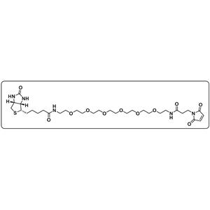 Biotin-PEG6-amido-Mal