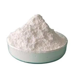 Adenosine Monophosphate 