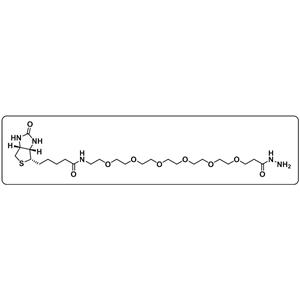 Biotin-PEG6-hydrazide
