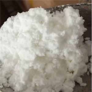 p-Aminobenzamide