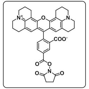 5-ROX NHS ester