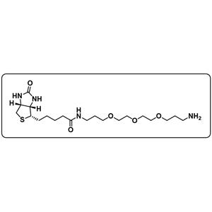 Biotin-C1-PEG3-C1-NH2