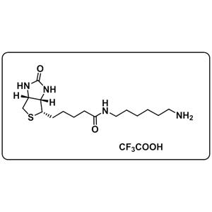 1H-Thieno[3,4-d]imidazole-4-pentanamide；N-(6-aminohexyl)hexahydro-2-oxo-；2,2,2-trifluoroacetate (1:1)