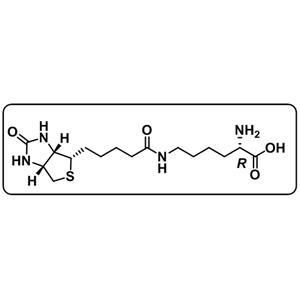 Biotin-D-Lysine