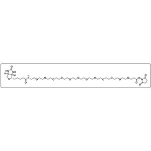 Biotin-PEG12-NHS ester