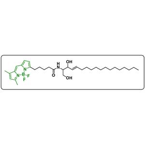 BODIPY FL C5-Ceramide