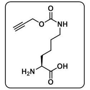 N-propargyloxycarbonyl-L-lysine