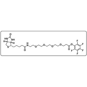 Biotin-PEG4-PFP