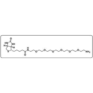 Biotin-PEG6-amine
