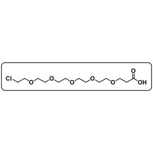 Cl-PEG5-acid