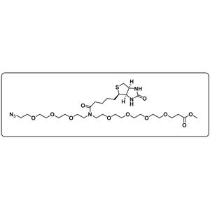 N-(Azido-PEG3)-N-Biotin-PEG4-methyl ester