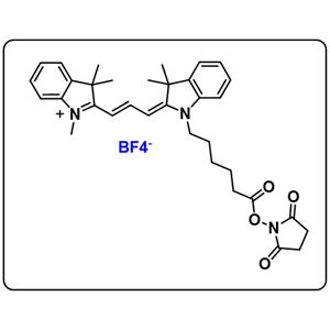 Cyanine3 NHS ester (BF4)