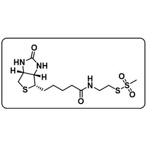 MTSEA-Biotin [N-Biotinoylaminoethyl methanethiosulfonate]