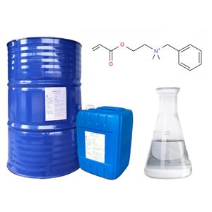 Acryloxyethyl ethyl dimethyl benzyl ammonium chloride