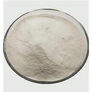 Entecavir
