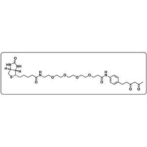 Diketone-PEG4-Biotin