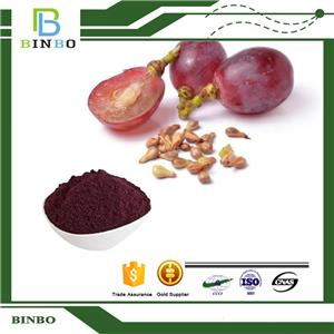 Grape Seed Extract OPC