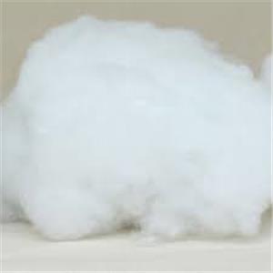 polyester fiber