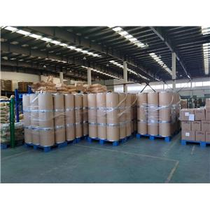 Ampicillin Trihydrate