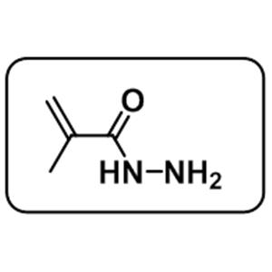 2-methylprop-2-enehydrazide