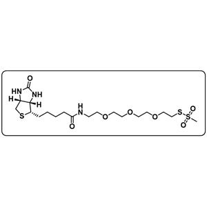 MTS-PEG3-Biotin [1-Biotinylamino-3,6,9-trioxaundecane-11-yl-methanethiosulfonate]