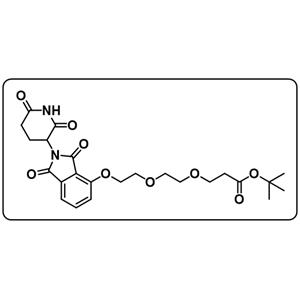 Thalidomide-O-PEG2-t-butyl ester