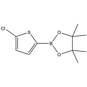 5-CHLOROTHIOPHENE-2-BORONIC ACID PINACOL ESTER