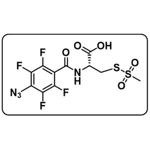 ATFBC-MTS [4-Azido-2,3,5,6-tetrafluorobenzamidocysteine methanethiosulfonate]
