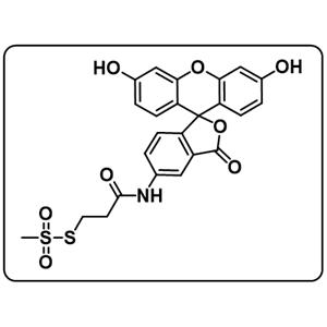 MTS-4-Fluorescein