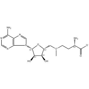 S-Adenosyl-L-methionine
