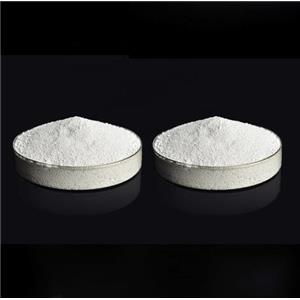 Fused White Corundum Alumina Powder for Polishing 99.5%
