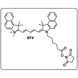 Cyanine5.5 NHS ester (BF4)