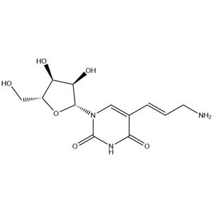 5-(3-amino-1-propenyl)uridine