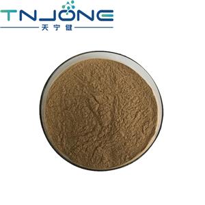 Shilajit Extract Fulvic Acid