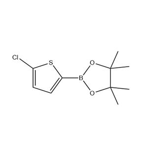 2-(5-chlorothiophen-2-yl)-4,4,5,5-tetramethyl-1,3,2-dioxaborolane