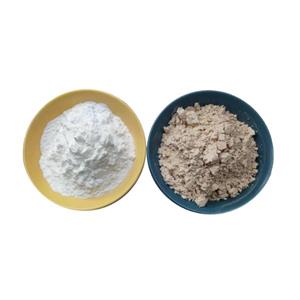 Food Grade Pool Grade Diatomaceous Earth Powder Diatomite Kieselguhr