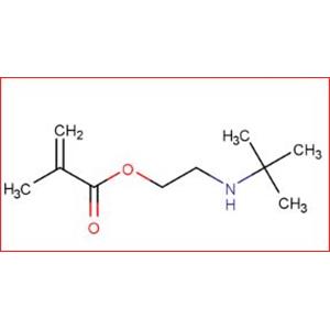 2-(tert-Butylamino)ethyl methacrylate
