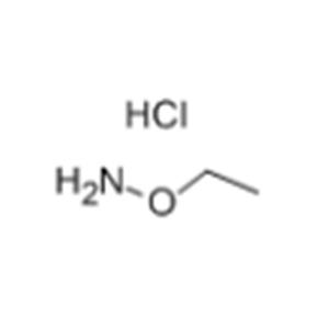 Ethoxyamine hydrochloride