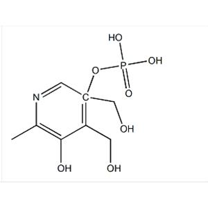 Pyridoxol 5-Phosphate
