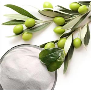 Natural Supplement Olive Leaf Extract Pure Hydroxytyrosol Powder