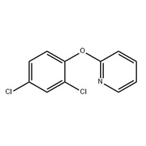 2-(2,4-dichlorophenoxy)pyridine