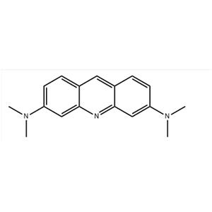 ACRIDINE ORANGE