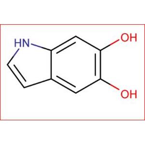 5,6-DIHYDROXYINDOLE