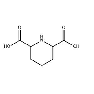 2,6-piperidinedicarboxylic acid