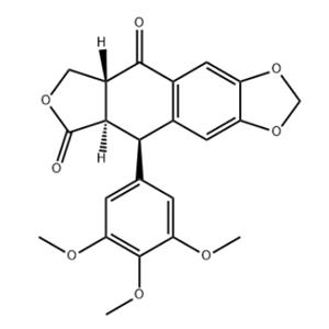 podophyllotoxone