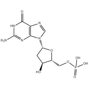 2'-DEOXYGUANOSINE 5'-MONOPHOSPHATE