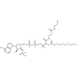 Decanoyl coenzyme A monohydrate