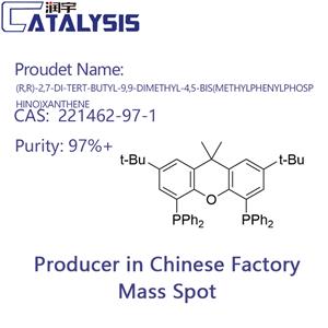 (R,R)-2,7-DI-TERT-BUTYL-9,9-DIMETHYL-4,5-BIS(METHYLPHENYLPHOSPHINO)XANTHENE