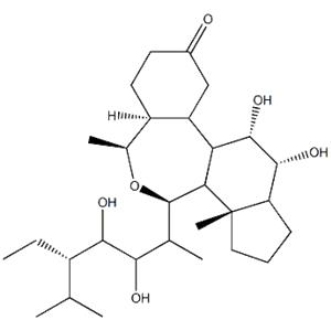 Homobrassinolide