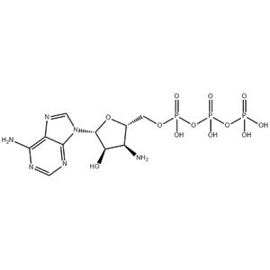 3'-NH2-ATP 100mM Sodium Solution